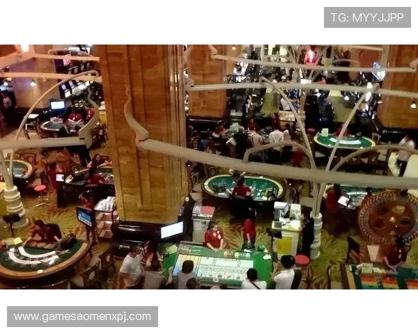 新葡京娱乐城：提供顶级娱乐设施和专业服务的理想场所